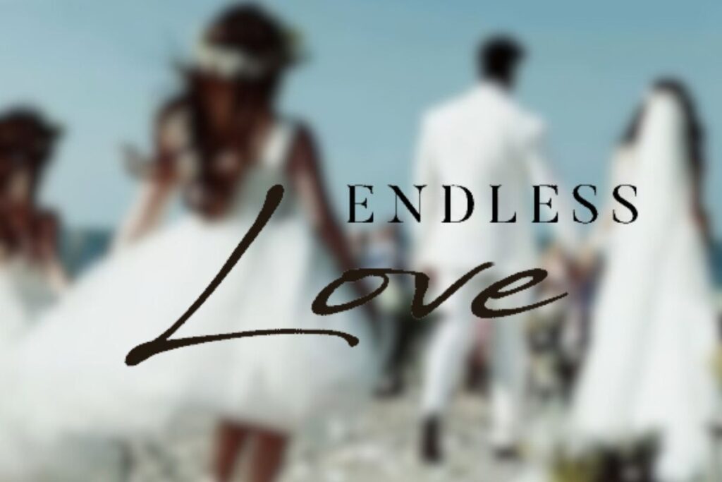 Endless Love ultime emozioni