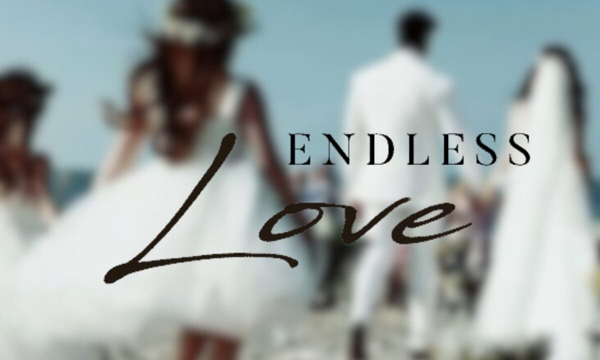 Endless Love ultime emozioni