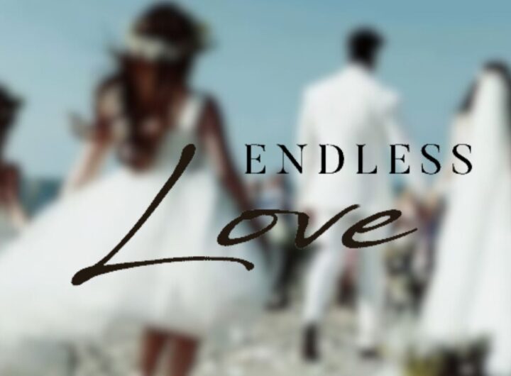 Endless Love ultime emozioni